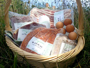 basket of farm goods